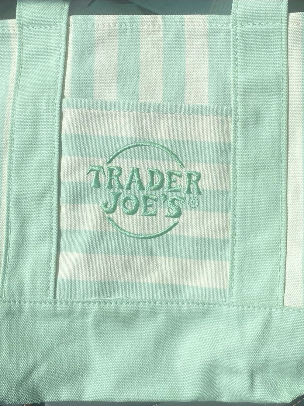 Trader Joe's Mint Green Striped mini canvas Tote NWT